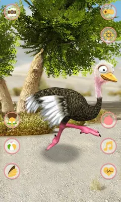 Talking Ostrich Free android App screenshot 2